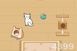 天美影视传媒有限公司