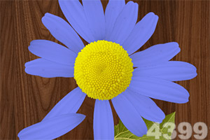 北京冬奥会冬残奥会火炬飞扬发布