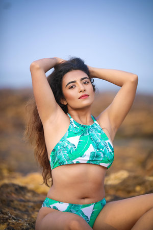 李鸿章家族在上海：房地产开发、藏书流转与时代变迁