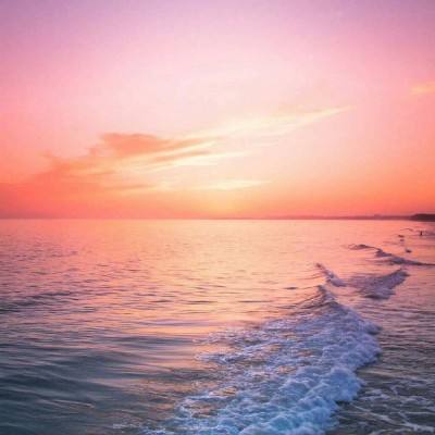 全国政协召开第七十一次主席会议