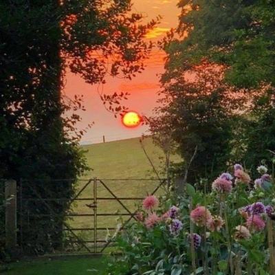 劣质充电器致意外死亡!3名中国跨境卖家被起诉