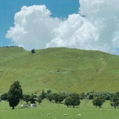 广西白龙核电1号机组核岛首个大型结构模块吊装就位