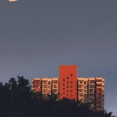 台湾老板免费请我吃饭