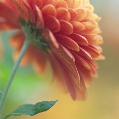 上海双节文旅消费盛宴开启，彰显城市消费活力