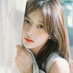 鸿蒙版微信读书新增书架分类、导入PDF文件等功能,陪你假期沉浸式阅读