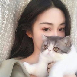 一个家族建筑企业的12年