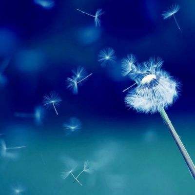 逾200家新三板公司披露2025“成绩单”，多家营收净利增速双超20%