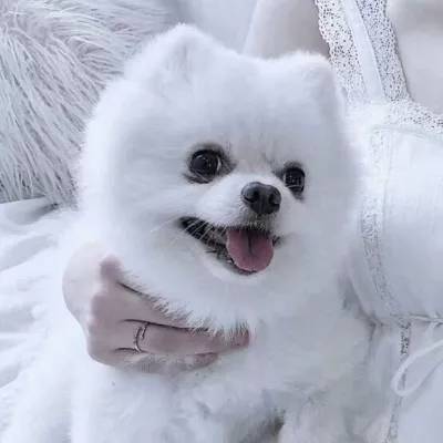 “两高”公布修改关于办理环境污染刑事案件适用法律若干问题的解释的决定