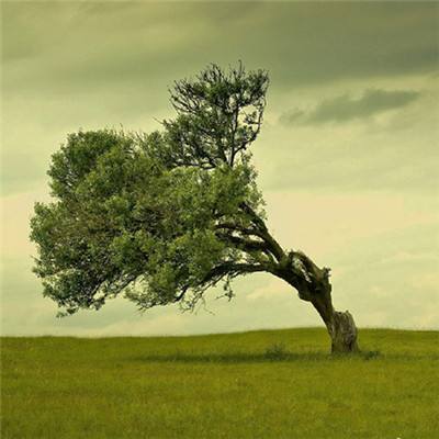 银河系的未来是一部“变形记”