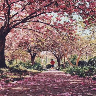 智能育苗助增产 抢抓农时备春耕