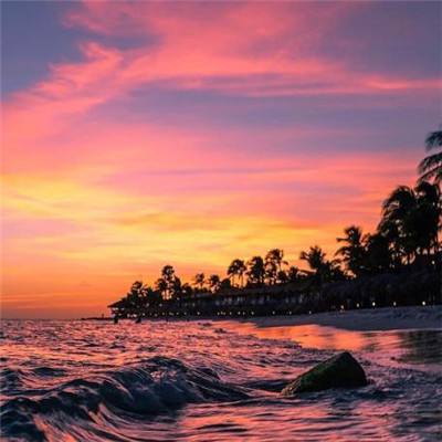 一口一口吃掉胸口上的奶油