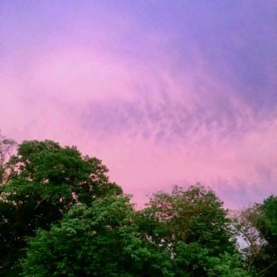 美女视频黄网站免费