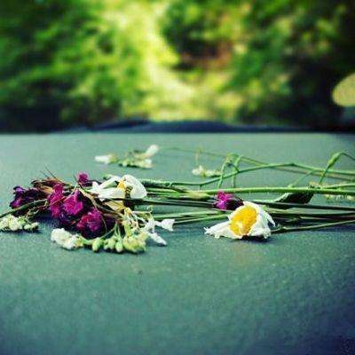 国投种业科创中心有关岗位社会招聘