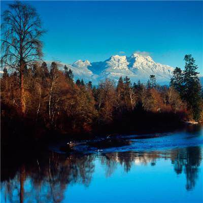 插槽8x插槽视频在线观看hd