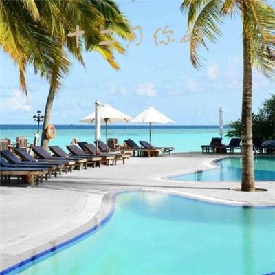 国际生物多样性日|看！珍稀动植物在这里“C位出道”