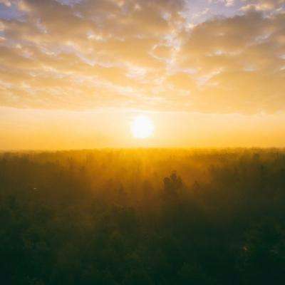 花生碎04: 人生本无期待可言,直到酱油淋入煲仔的那一瞬间