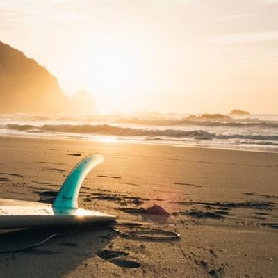 二人努力生猴子免费观看截图