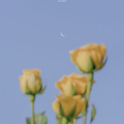 蜜桃天美星空果冻糖心mv