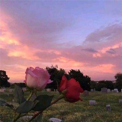 @上海投资者，快来新疆找矿！