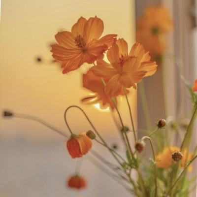 两岸美食荟聚福州闽台老字号同台展风采