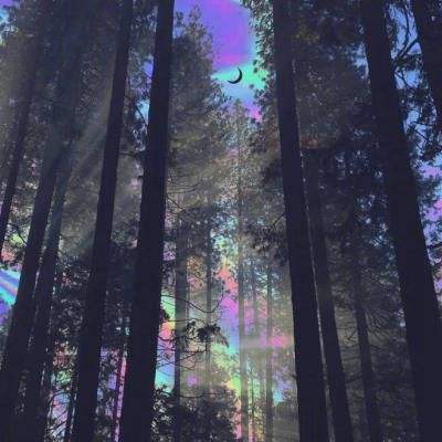 中国建筑:上半年营收同比增长28.6%