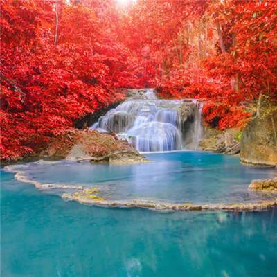 成人时刻视频下载网站免费