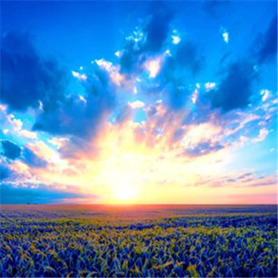 “2025年，或是欧洲和平最后一年”