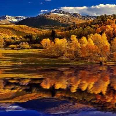 日赚超4亿!直击中国人寿业绩会:投资收益3876亿,未来聚焦三大方向