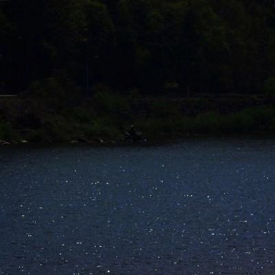 亲子乱子伦视频一区二区