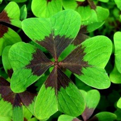 05版 -本版责编：张彦春宋宇张智琪