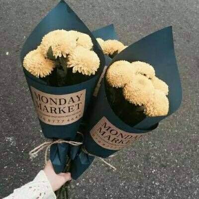 入驻 1 年暴涨 300%！这两个中国品牌在俄罗斯杀疯了