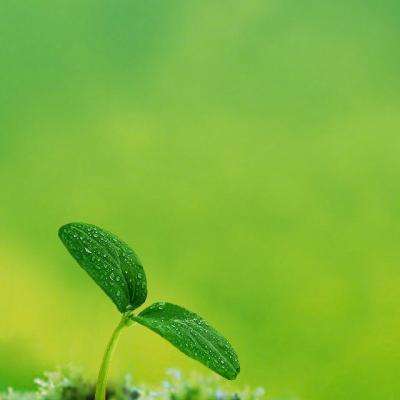 濒危植物为何常见?(把自然讲给你听)