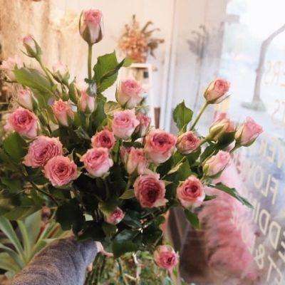 从头啪到尾全肉小黄书免费