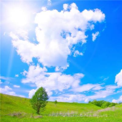 特朗普考虑将霍尔木兹海峡改为自己名字,还有备选名“美利坚海峡”