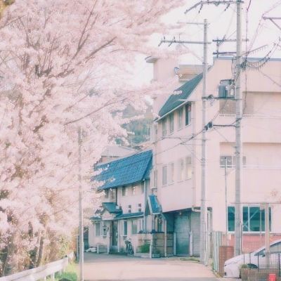 受中东局势影响韩国垃圾袋紧缺 有超市每人限购10个