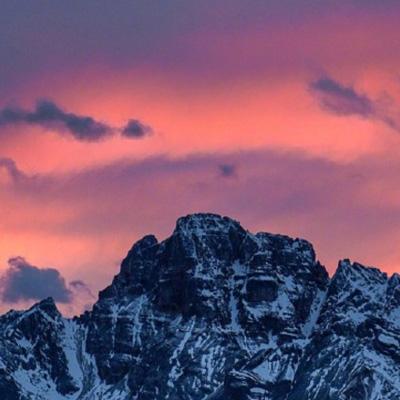 林淑娟被宠物受孕