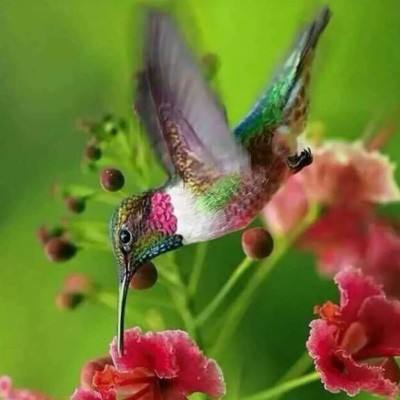 牧区党员学习不掉队