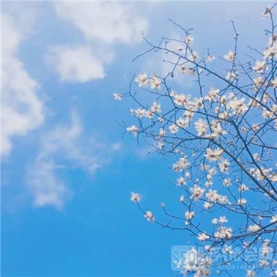 一条英雄路 悠悠赤子心（地名中的抗战记忆）