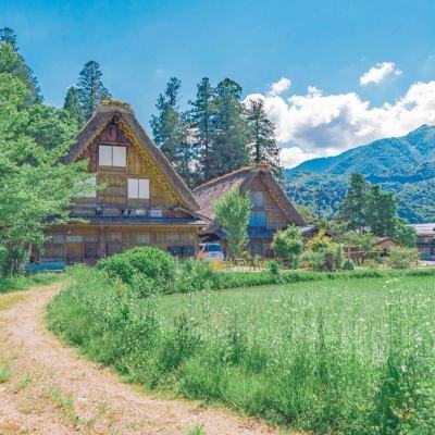 选弟弟当男朋友超棒的