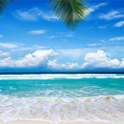 17.c14一起草视频