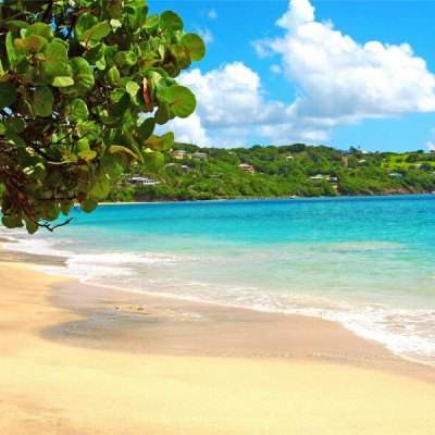 俄驻美大使：望美媒停止煽动恐俄情绪 公正报道