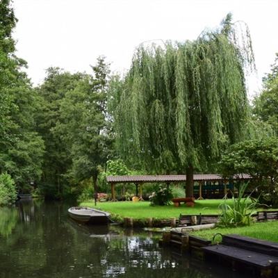 02版 -王毅同加拿大外长阿南德通电话