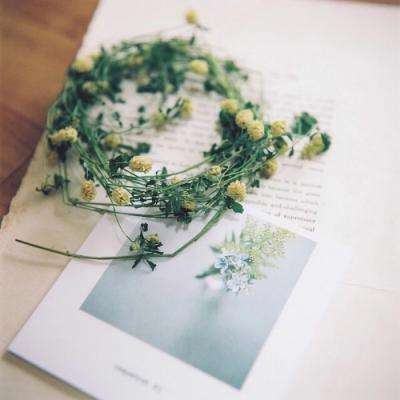 天天做天天欢天天爽