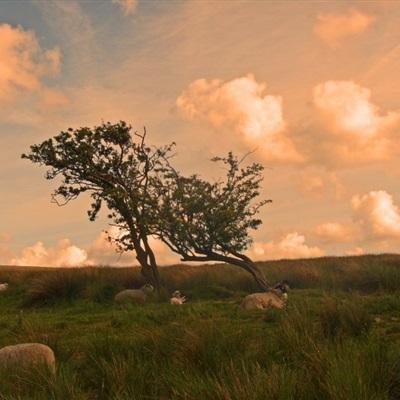 免费看叼嘿视频