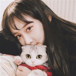 2026武大樱花花期预告(初花期+盛花期)