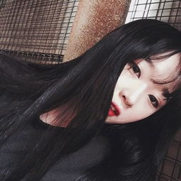 澳门回归祖国25周年丨用民乐的方式打开《七子之歌》