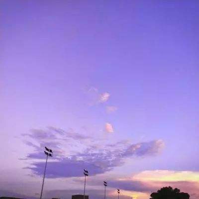 四虎影视永久在线观看播放