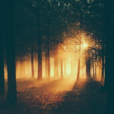 一个底层美少女的堕落史