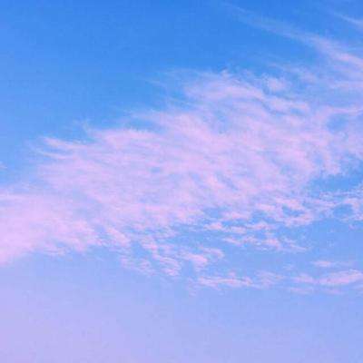 秋葵视频在线观看成人黄