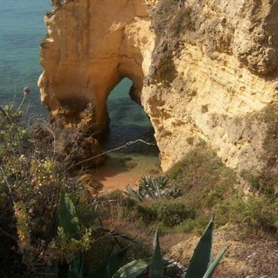 国产极品外围探花在线观看